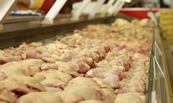 Suudi Arabistan, Türkiye’den hayvansal ürün ithalatını durdurdu