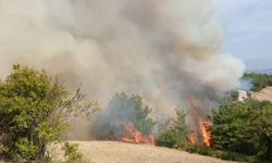 İstanbul'da ormanlık alanda yangın