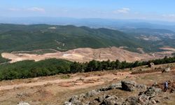 Maden ocağı projesi iptal edildi: Yüzbinlerce ağaç ve kızıl geyikler kurtuldu