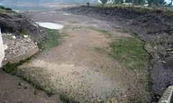 Muğla'da barajların doluluk oranı her yıl geriye gidiyor: Kuraklık uyarısı