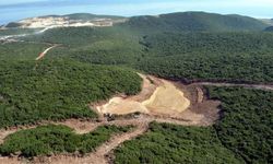 Bakanlıktan onay verdi: Kalker ocağı projesi için 1500 ağaç katledilecek