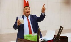CHP Milletvekili Ömer Fethi Gürer: Yabancı çiftçiyi zengin etme anlayışından vazgeçin