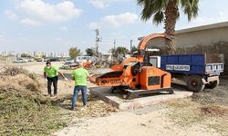 Seyhan Belediyesi’nin atık projesi: “404 bin 600 ağaç kurtarıldı”