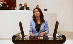 HDP'li Vekil Erman Toroğlu'nun nefret söylemlerini meclis gündemine taşıdı