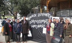 Sinop'ta termik santrale direnen 37 kişiye 10 yıl sonra 42 yıl hapis cezası