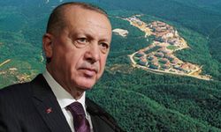 Erdoğan kendisine yetki verdi: İstediği araziyi 'ormanlık alan' olmaktan çıkarabilecek