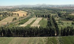 Atatürk Orman Çiftliği içinde bulunan birinci derece doğal sit alanının otopark yapılması için ihale