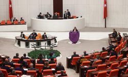 Meclis'te mor örtü açan CHP Milletvekili Karaca'ya "uyarma cezası" verildi