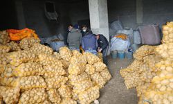 CHP'li belediyeler son bir yılda 3 bin 800 ton patates ve soğan dağıttı