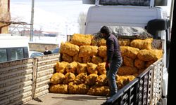 Türkiye’nin yoksulluk tablosu: 3.5 milyon aileye patates soğan yardımı