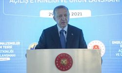 Erdoğan: "Esnafa kira desteği ile işten çıkarma yasağının süresi uzatıldı"