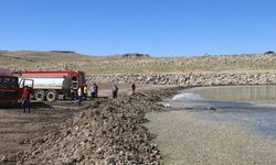 Mazıdağı'da sulama göletinde toplu balık ölümü