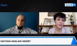 dokuz8TV'de tartışıldı: "Türkiye’de hayvan hakları hangi yöne gidiyor?"