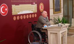 HDP'li Piroğlu: Engellilerin kamusal alandaki hakları ellerinden alınıyor