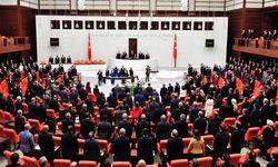HDP'li İpekyüz Hasankeyf’in durumunu meclis gündemine taşıdı