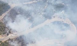 Akseki'de orman yangını