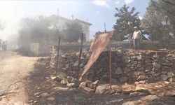 Muğla'da orman yangını: Evler tahliye ediliyor