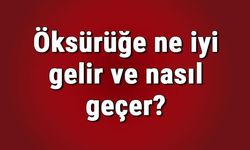 Öksürüğe ne iyi gelir ve nasıl geçer? Evde doğal ve bitkisel öksürüğe iyi gelen bitkiler ve çözümler