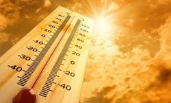 Kanada’da 719 kişi aşırı sıcaklardan dolayı hayatını kaybetti