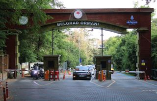 İBB’nin işlettiği Belgrad Ormanı’nda polis eşliğinde tahliye