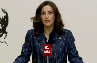 CHP'li Rızvanoğlu: 4 milyon 800 bin metrekare alan bir gecede orman sınırları dışına çıkarıldı