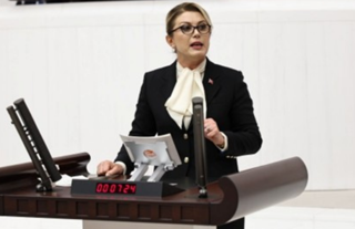 Asu Kaya, Esma Kılıçarslan dosyasındaki iddiaları Meclis'e taşıdı