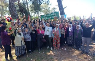 Akbelen Ormanı çevresindeki acele kamulaştırma kararının yürütmesi durduruldu
