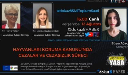 Hayvanları Koruma Kanunu'nda cezalar ve cezasızlık süreci