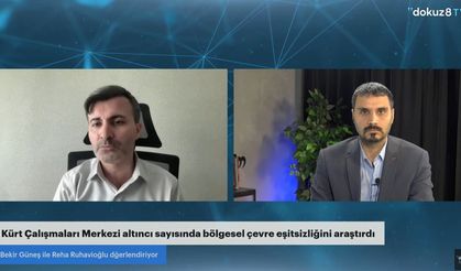 Doğu ve Güneydoğu'da çevre eşitsizliği de zirvede! Daha kirli hava, daha az orman