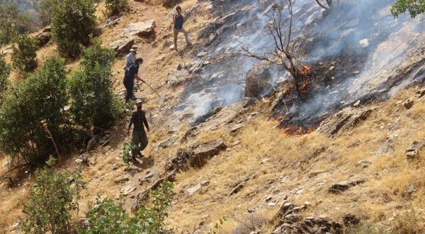 Goman Tepe çevresindeki yangın kontrol altında