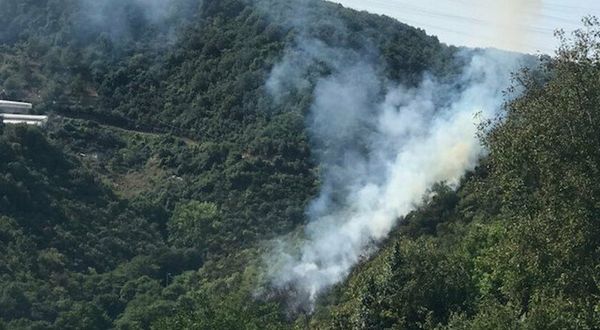 İstanbul Sarıyer'de orman yangını