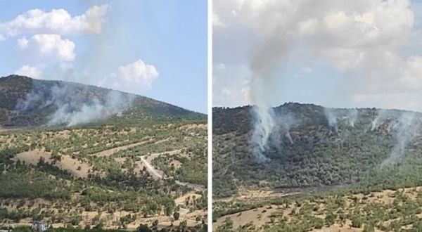 Tunceli ve Diyarbakır'daki orman yangınları söndürüldü