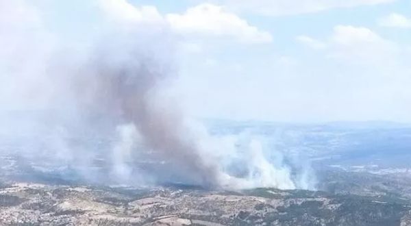 Manisa'da çıkan orman yangınına müdahale ediliyor