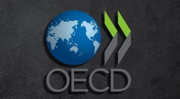 OECD'nin Türkiye raporu: Enflasyon çok yüksek ve kalıcı