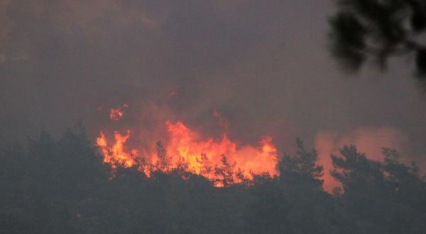 Marmaris'te 1028 hektarlık orman alanı kül oldu! Yangın sürüyor!