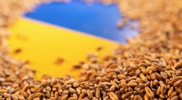 Tahıl krizini çözmek için kırmızı hat kuruldu: Ukrayna-Rusya-Türkiye hattı!
