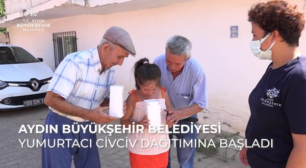 Aydın Büyükşehir Belediyesi civciv dağıtımına başladı
