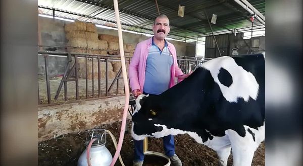 Süt üreticilerinden fiyatları artırmayan Ulusal Süt Konseyi'ne tepki: Çiftçi bu kadar bezdirilir mi?