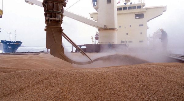 Rusya'nın tahıl anlaşması kararı piyasada yüzde 5 artışa neden oldu: Süreç uzarsa buğday fiyatı 400 dolara ulaşabilir