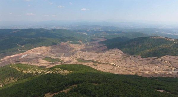 Tarım ve Orman Bakanlığı'ndan açıklama: "Kazdağları'ndaki saha bakanlığımıza geçti"