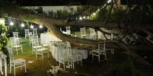Antalya'da yapılan kır düğününde ağaç devrildi: 1 kişi yaşamını yitirdi