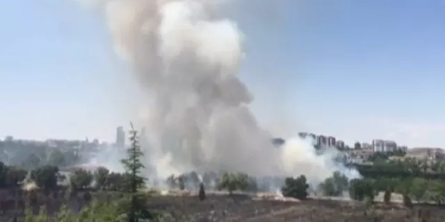 Atatürk Orman Çiftliği'ndeki yangın söndürüldü, 1 kişi gözaltında