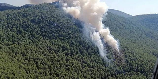 Muğla’daki orman yangını ile ilgili yürütülen soruşturmada bir kişi tutuklandı
