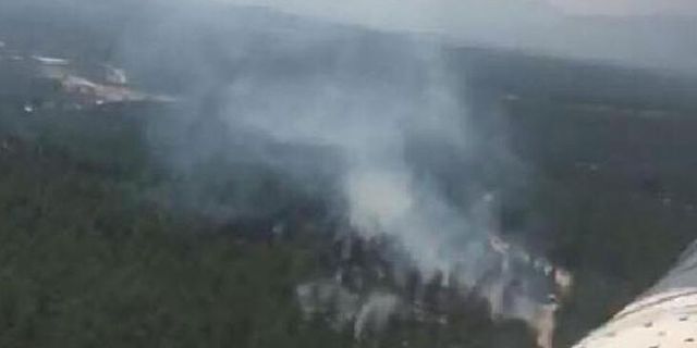 Manisa Akhisar'da orman yangını
