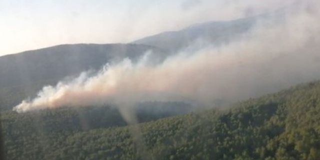İzmir Çeşme'de orman yangını