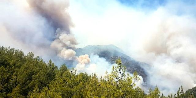 Köyceğiz'de Çayhisar Mahallesi yangın nedeniyle boşaltılıyor