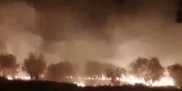 Midyat'ta ormanlık alanda yangın
