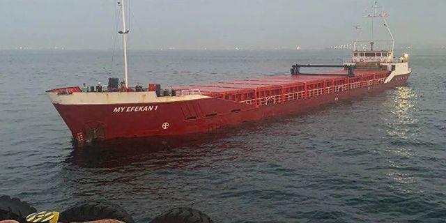 Boğaz'a giren konteyner gemisi arızalandı