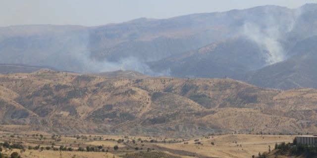 Şırnak'ta 4 ayda 21 orman yangını