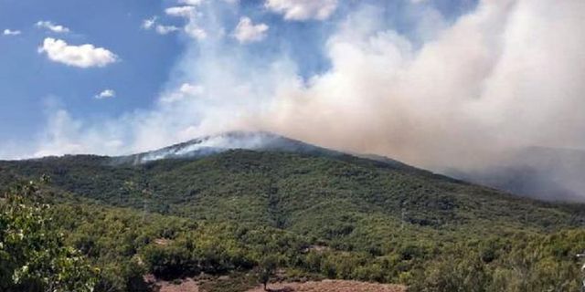 Tunceli'de orman yangını: 2 helikopter müdahale ediyor